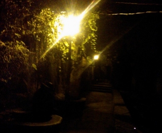  Lumières de la nuit 
